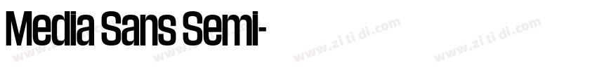 Media Sans Semi字体转换